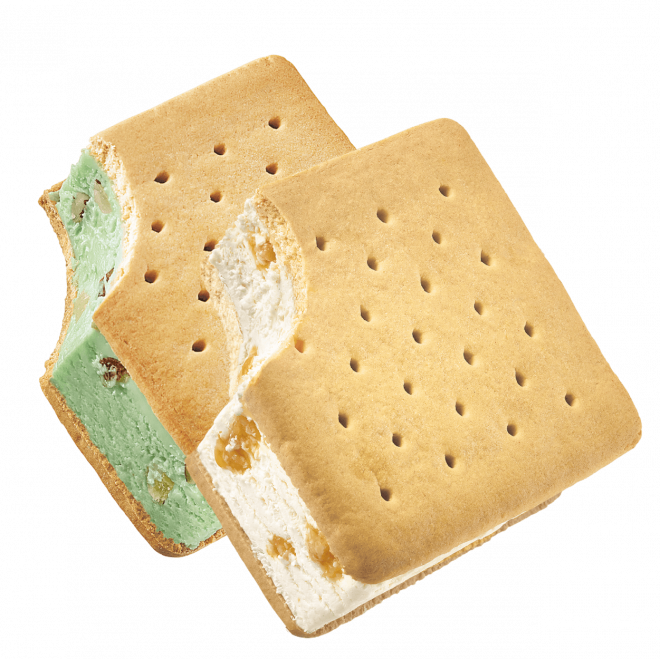 Galleta Estelar